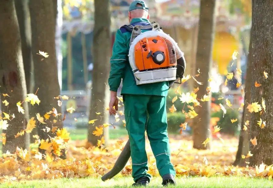Lehtede koristus ja äravedu