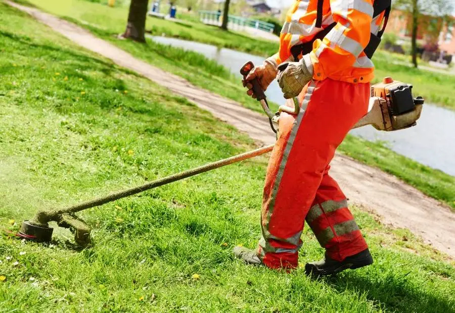 Võsalõikus ja trimmerdamine